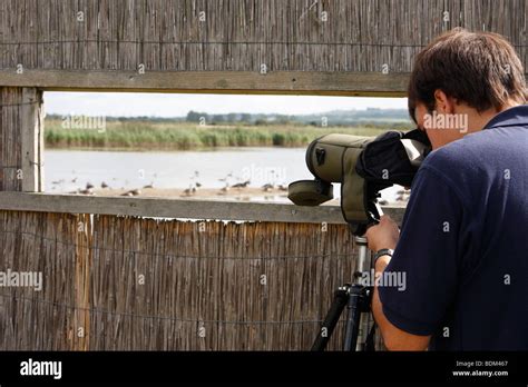 oxfordshire bird sightings|rspb otmoor news.